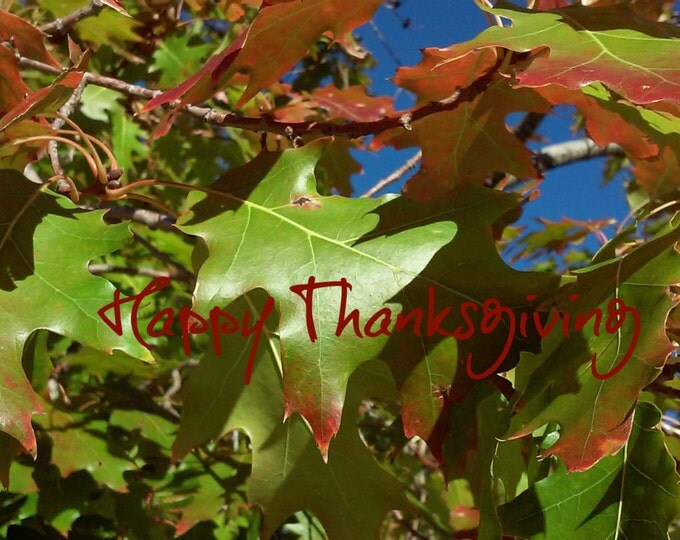 THANKSGIVING Greeting Card created by Pam Ponsart of Pam's Fab Photos featuring copper and green Autumn Leaves plus printed text on outside