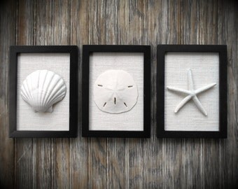 Cottage Chic Set of Beach Decor Wall Art, Coastal Decor, Nautical Decor, Beach Wall Art, Sea Shells Home Decor, Black and White Wall Art