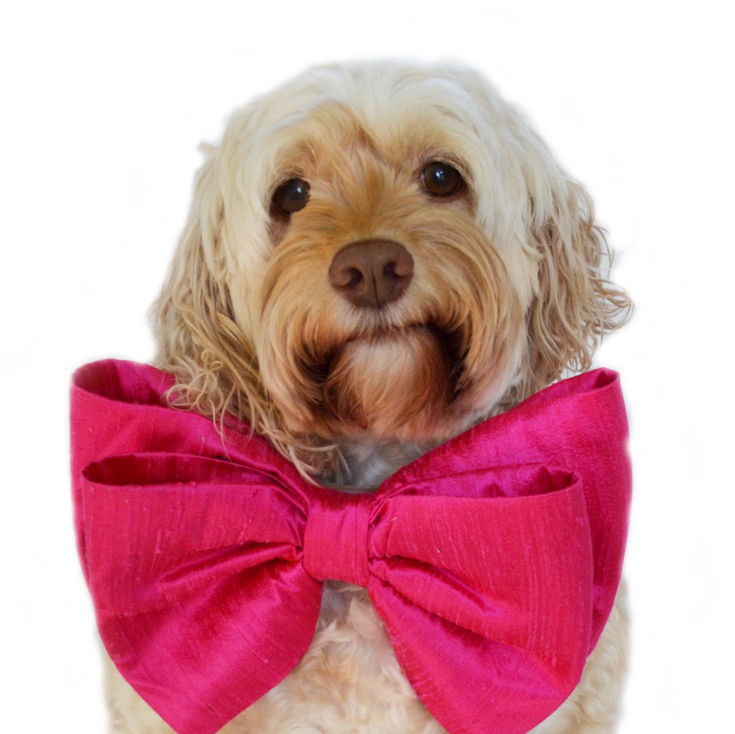 Pink Bow Tie Collar Big Dog Bow Oversized bow Birthday Bow