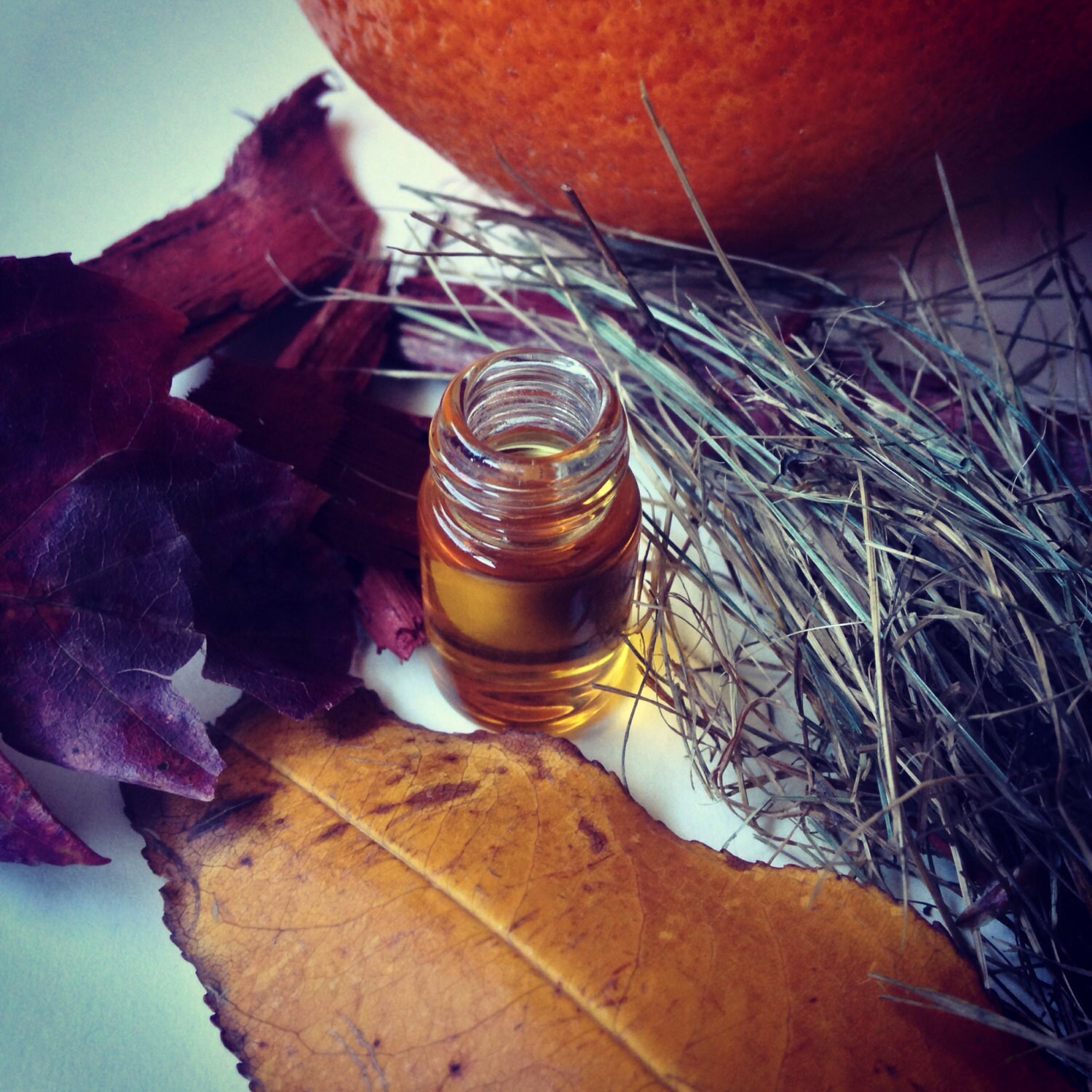 Tangerine Smoke botanical fragrance. plumes of citrus smoke