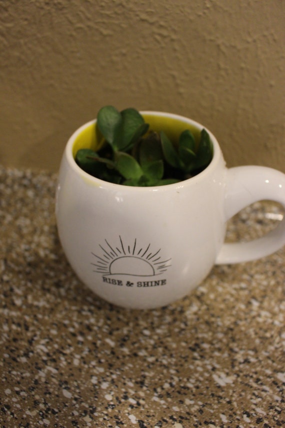 Various Succulents in Coffee Mug by PrickUpcycled on Etsy