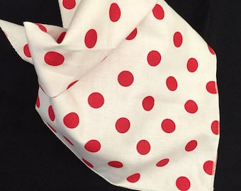 Red polka dot tie on pet bandana