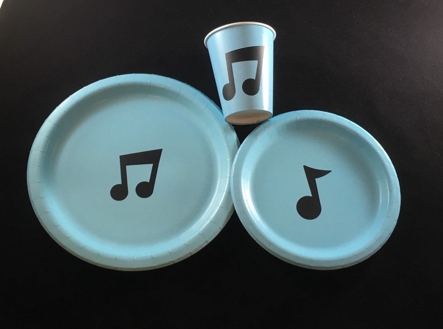 Music Note Party Plates Music Theme Birthday Plates Music