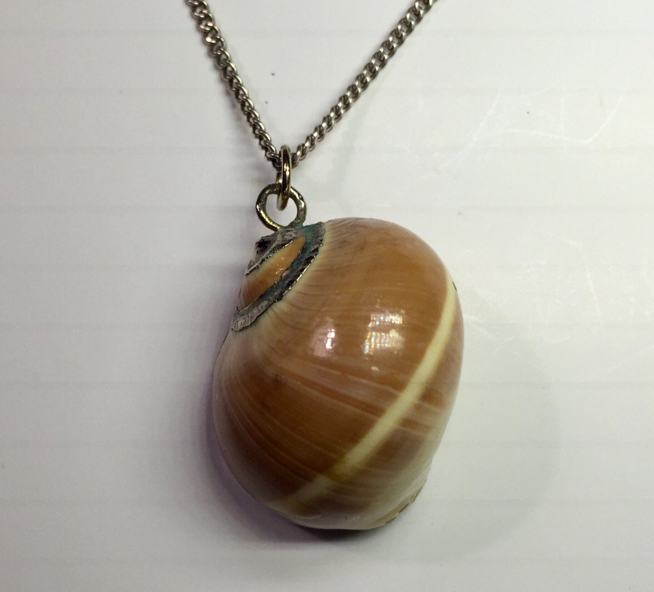 Vintage Sea Shell Necklace Moonsnail Sea by BarnabyGlenVintage