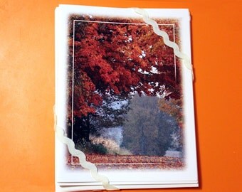 Autumn Road, Blank Card - Set of 5