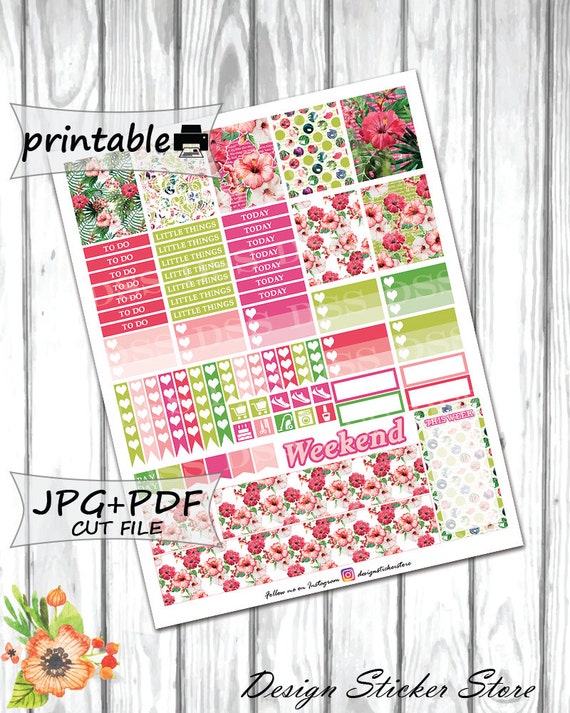 Hibiscus Planner Stickers/Erin Condren Planner