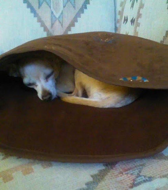 Southwest Style in This Puppy Pouch Tiny Dog Sling Pouch by R