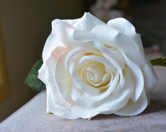 Belle Rose in white -ITEM037