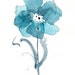 Indigo blue watercolor flower art print: "Indigo Blues Flower"