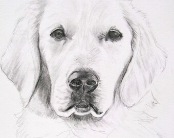 Dog Portrait Custom Sketch