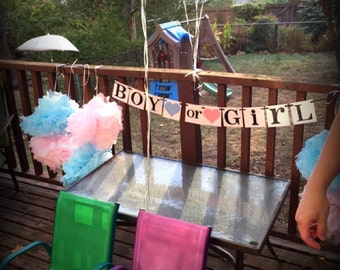 Boy or Girl Banner / Gender Reveal Party Decor / Baby Announcements / Baby Shower / Nursery Garland Sign / New Baby / Gender Reveal Cards