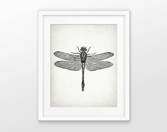 Dragonfly Print - Dragonfly Illustration - Dragonfly Art - Dragonflies - Dragonfly Drawing Print - Single Print #1555 - INSTANT DOWNLOAD
