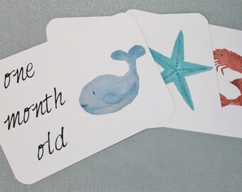 Baby Milestone Cards Monthly Baby Picture Cards Baby Shower Gift New Mom Baby Gift Baby Boy Girl Gender Neutral Ocean Sea Creatures Animals
