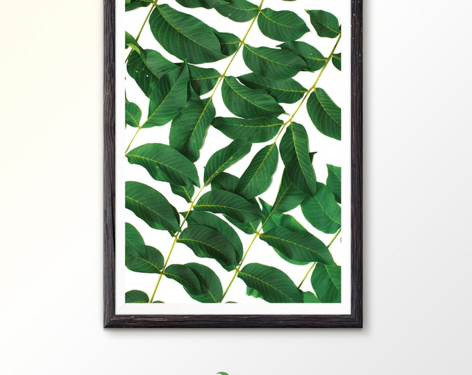 Leaf Wall Art Print Tropical Plant Photo Printable Wall Art Digital Download Green Leaves Photography Palm Leaf Print Tropical Wall Art Mint