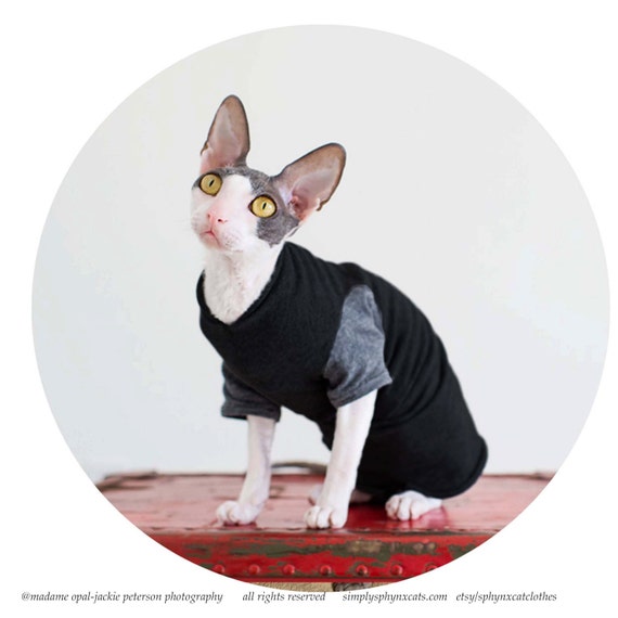 Design a Pet Top. Sphynx Cat Clothes. Choose by SphynxCatClothes