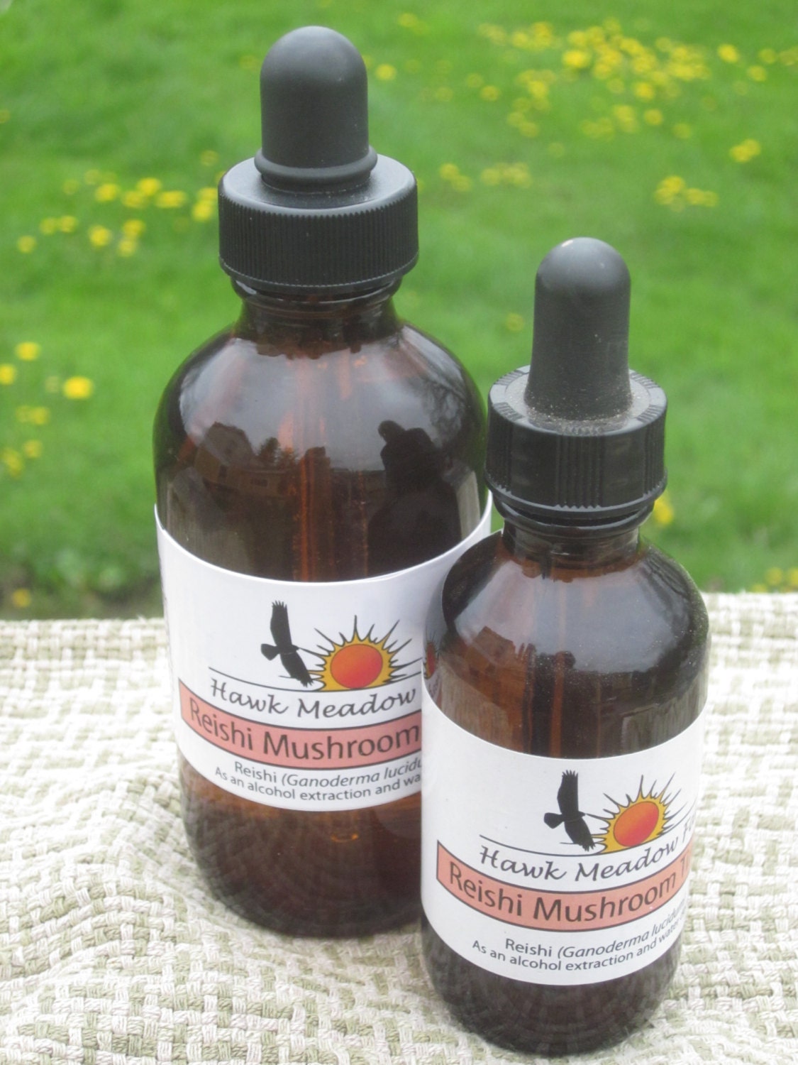 Reishi Mushroom Tincture 2oz 4oz or 8oz Bottle