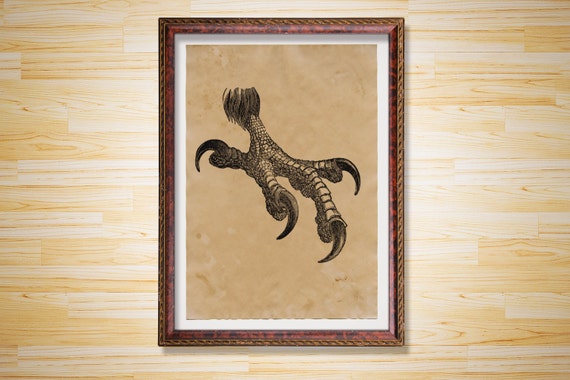 Items similar to Eagle print Claw decor Bird poster on Etsy