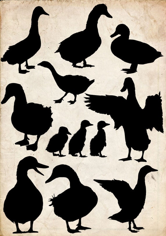 Duck Silhouette clip art 20 png Clipart Instant Download