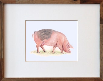 Pig watercolor | Etsy