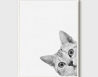 Cat Print, Wall Art Photo, Printable, Black and White Animal Photography, Modern Minimal, Instant Download, Nursery Decor Grey, Kids Print