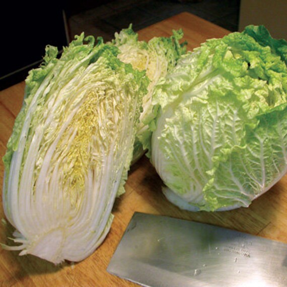 Organic Bok Choy Chinese Cabbage Seeds by HarvestMarketGA on Etsy