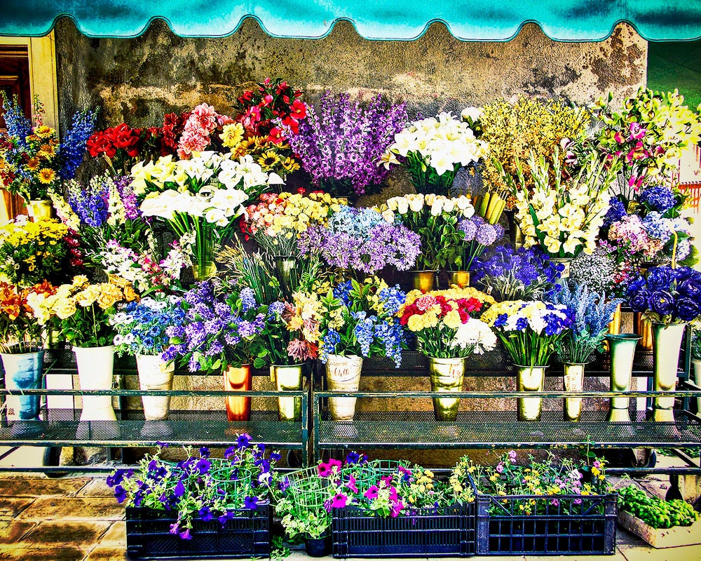 Flower Shop Venice Italy Photo Flower Stand Outdoor Shop