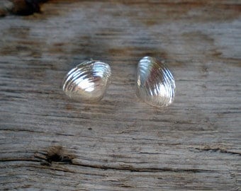 Medium Clamshell Post Earrings
