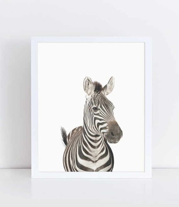 Baby Zebra Print Neutral Nursery Wall Decor Safari by lushaprints