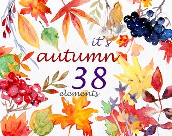 It's Autumn - watercolor clipart, commercial use digital floral leaves leaf fall autumnal foliar foliage leafy red yellow orange forest png