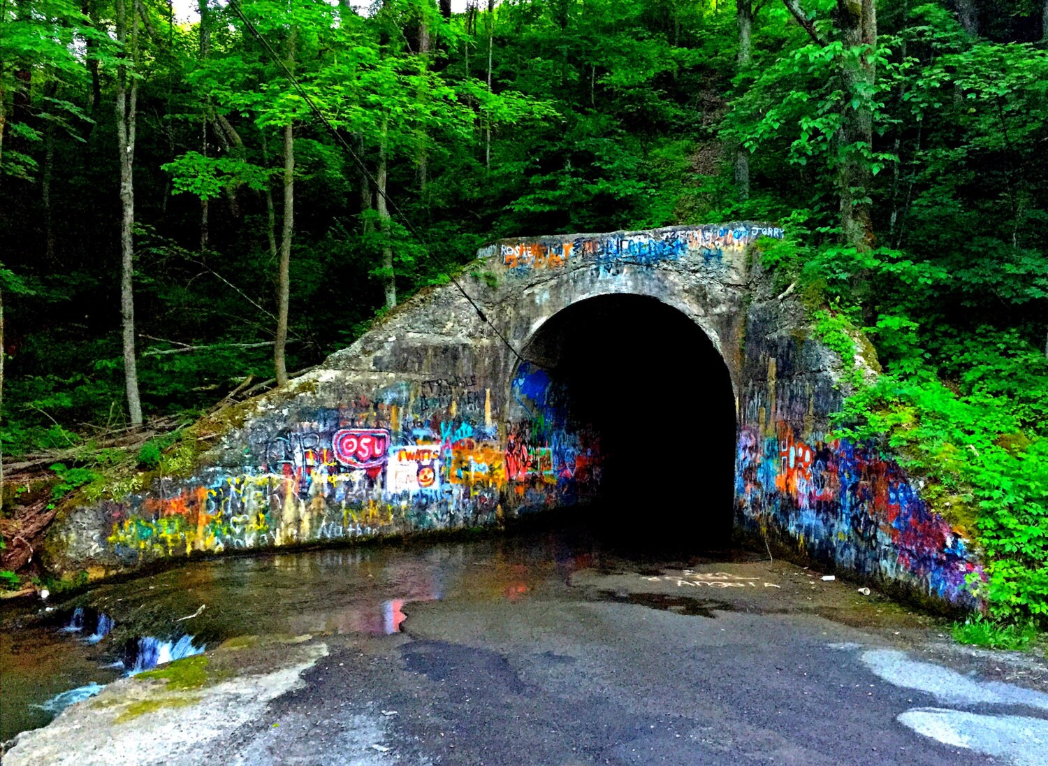 Haunted Sensabaugh Tunnel Kingsport Tennessee road trip