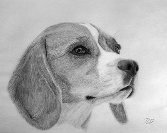 Items similar to Beagle Dog, Freehand Pencil Drawing, Digital Download ...