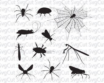 Spider SVG, DXF, PNG, Insects Svg, Bugs Clipart, Cut files for Silhouette Studio and Cricut Design Space. Monogram svg, bucket Vinyl cutting