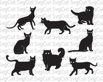 Cats svg, Kitten SVG, Silhouettes, Animals Silhouettes, Silhouette files, SVG files, png jpg eps, instant download