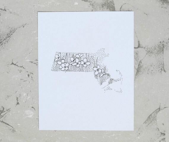 Massachusetts Mayflower State Flower Drawing Giclee by annatovar