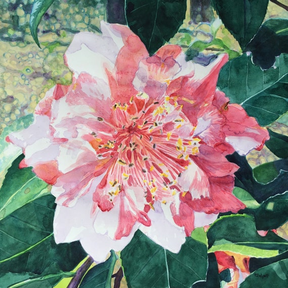 Items similar to Original watercolor painting camellia floral wall art ...