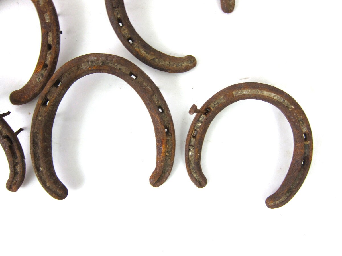 how to collect horseshoes from wild west frontier