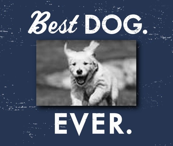 best-dog-ever-4-x-6-photo-frame