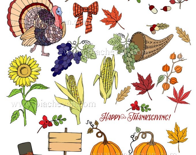 Digital Clipart with Thanksgiving Decorations. clip art, pumpkins, hat, horn, grape, maple, corn, harvest
