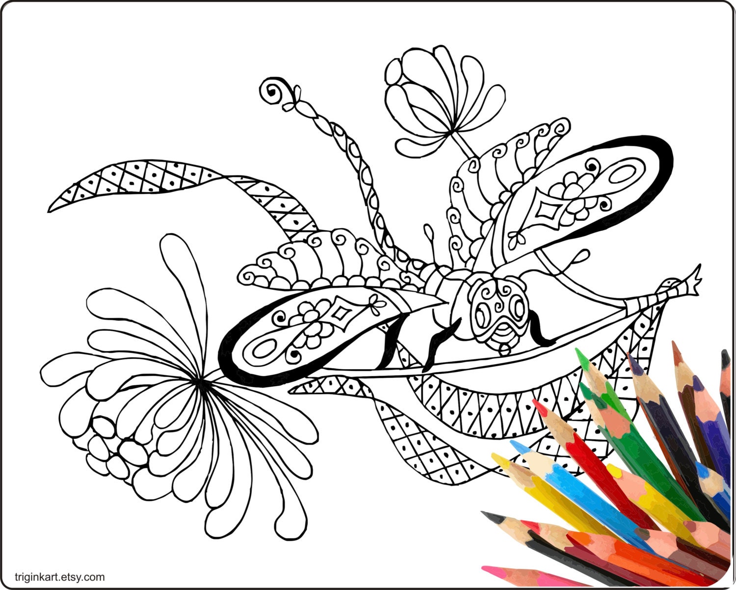 Dragonfly Adult coloring page