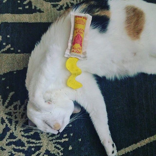 A cat toy company as unique as its name by PolydactylCats on Etsy