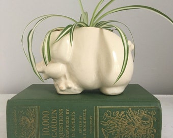10,000 garden questions answered. Vintage gardening book