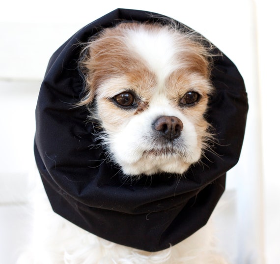 waterproof dog snood