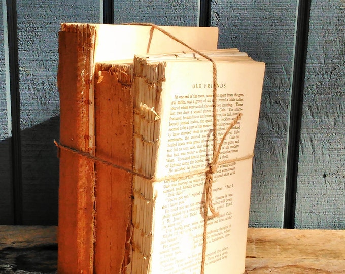 Distressed Book Set - Vintage Book Collection - No cover books