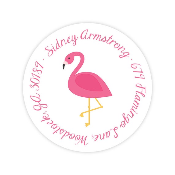 flamingo albert address flamingo albert address
