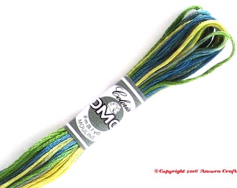 DMC 4506 Coloris Variegated 6 Strand Floss Primavera (Spring)
