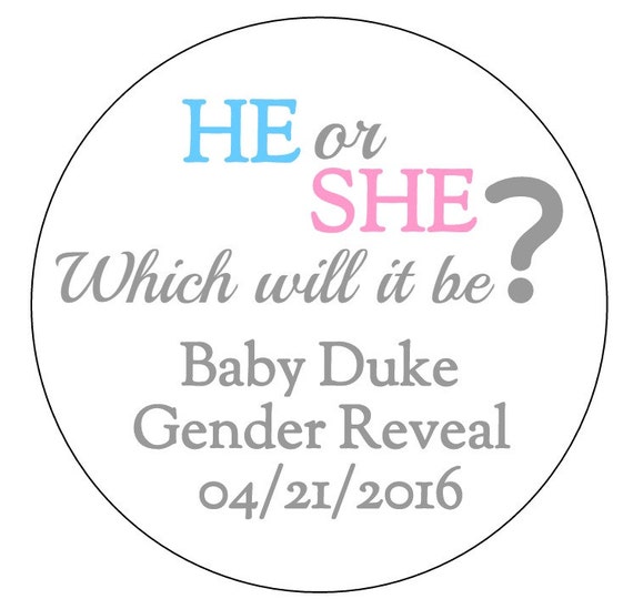 12 He or She What Will it Be Stickers, Gender Reveal Labels, Thank You ...