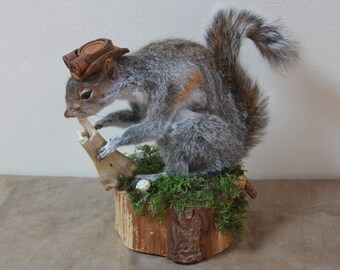 Human eating steampunk taxidermy squirrel