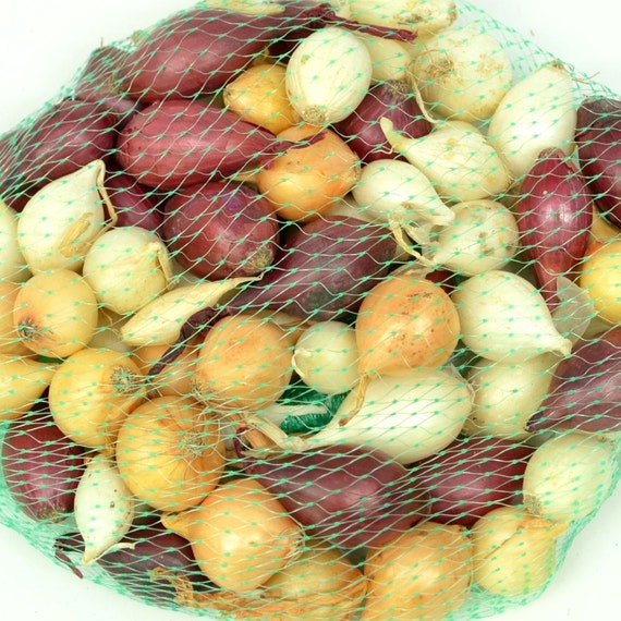 Mixed Red White and Yellow Onion Sets Organic NonGMO Onion