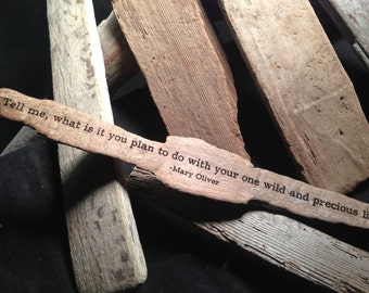 sarah wilson this one wild and precious life sarah wilson this one wild and precious life