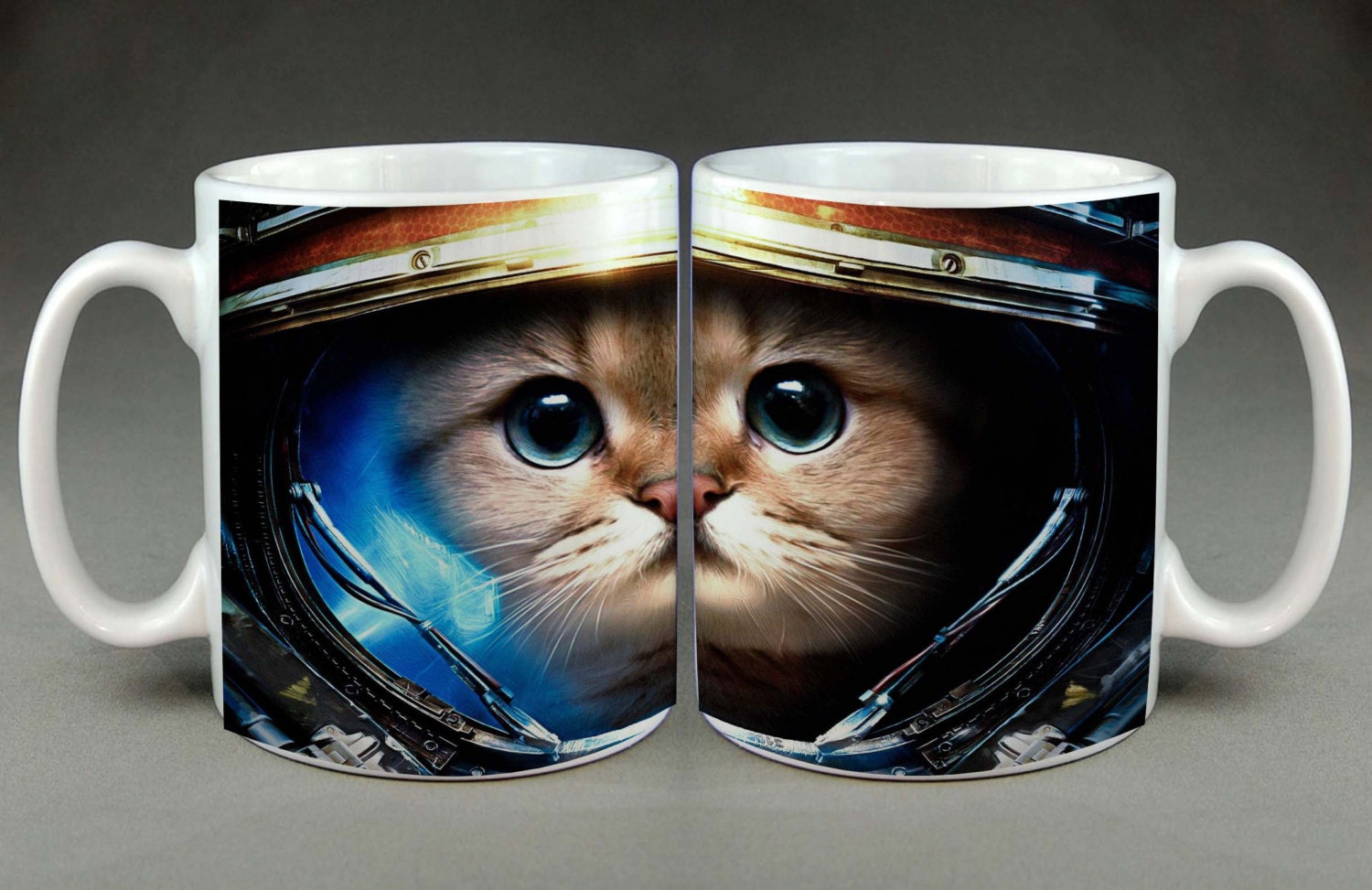 kitten astronaut
